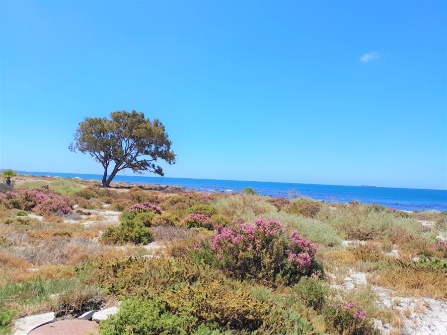 0 Bedroom Property for Sale in Sandy Point Western Cape